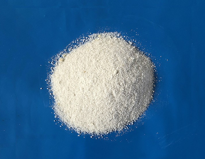 麻豆传媒在线免费观看