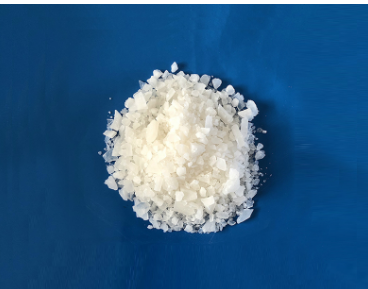 麻豆传媒在线免费观看